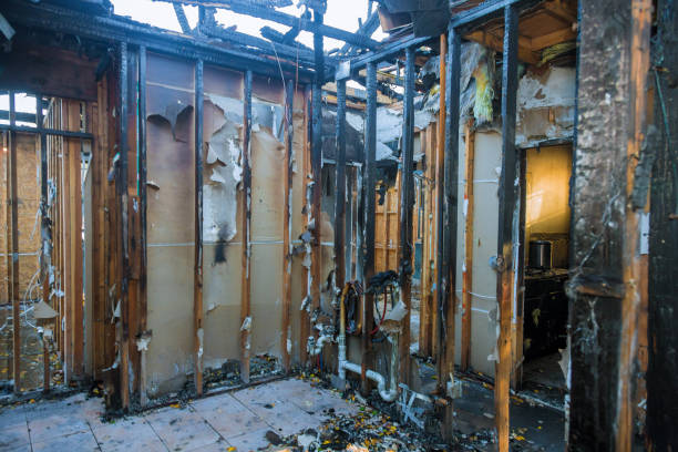 Professional Soot Cleanup technician working in Mertzon, TX